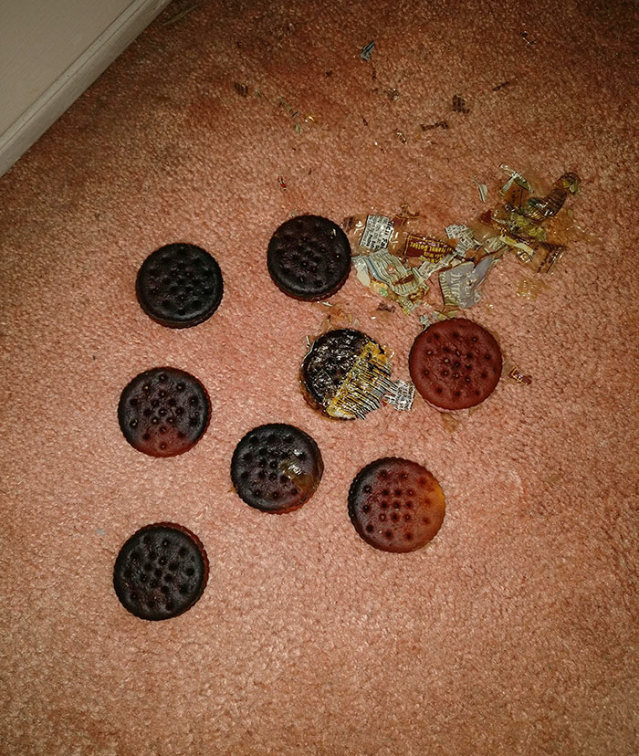 Daughter Decided To Toast Her Crackers In The Heater And Not Tell Me About It For A Couple Of Years