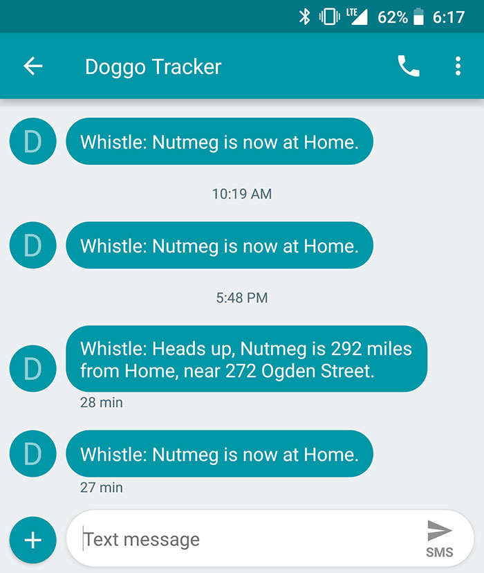 Did My Dog Just Discover Teleportation?