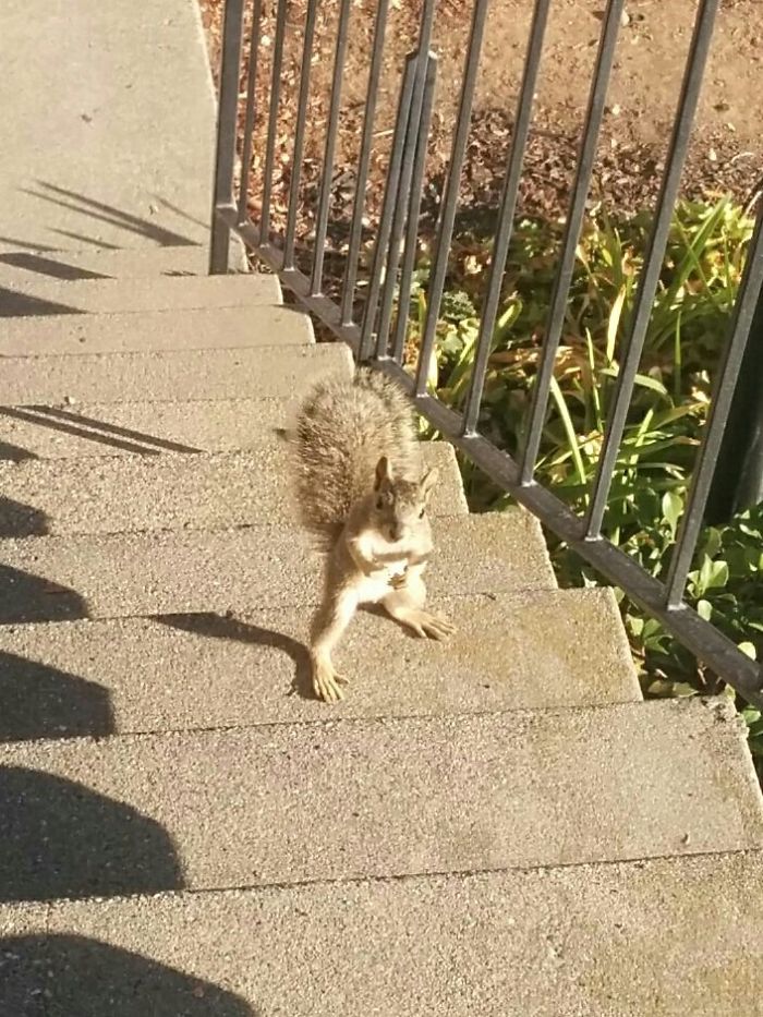 "Excuse Me Sir, But Have You Heard The Good News?"