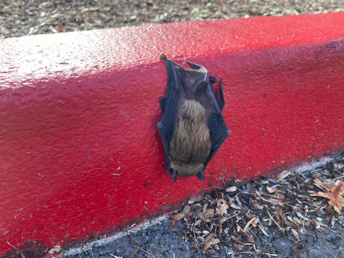 Might Take A Job With Nat-Geo Or Assist In The Next Blue Planet Film, I Don’t Know...