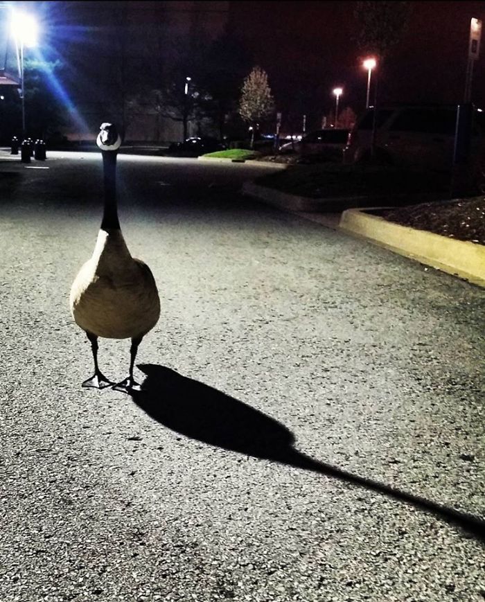 You Came To The Wrong Neighborhood