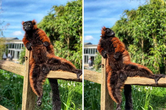 "Ladies, Please...one At A Time." Edit: "Brenda, Where's My God Damn Martini?!"