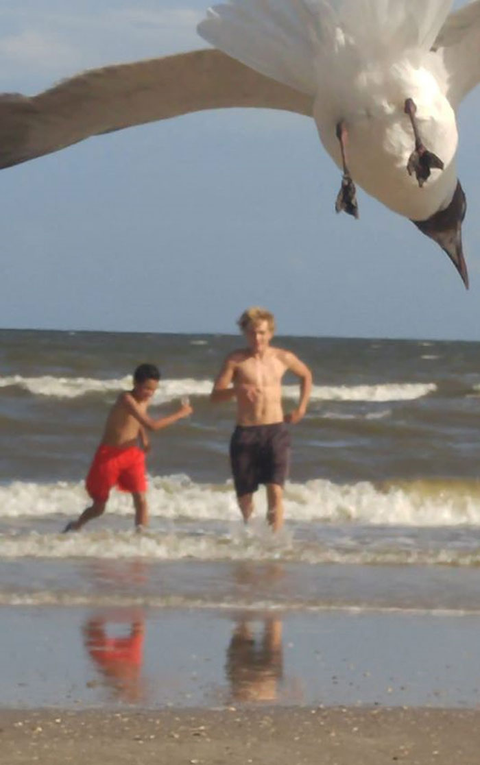 Look At This Adorable Photo Of My Sons Running In The Surf, You Guys!