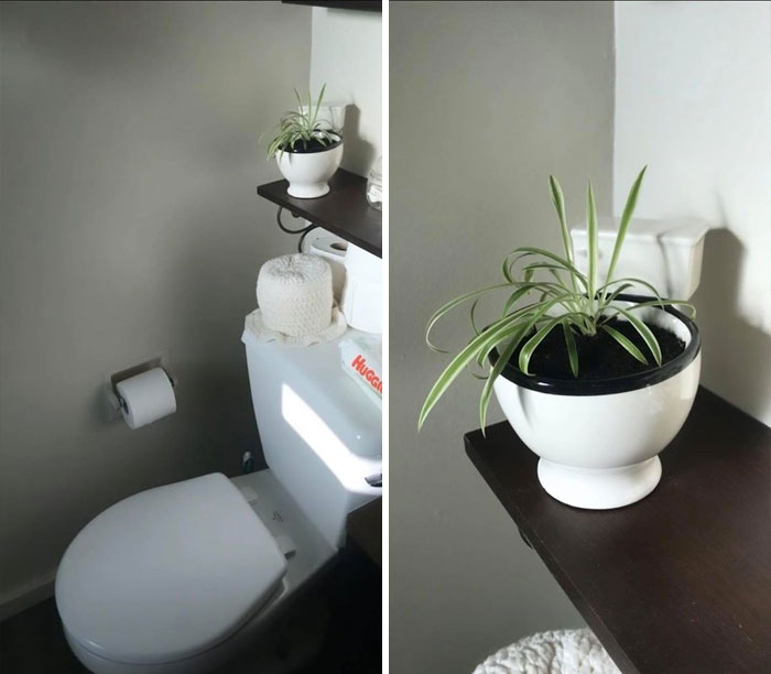 I Feel Like This Is Tacky But I Honestly Love It. Toilet Mug Found At The Local Salvation Army, Repurposed As Bathroom Decor