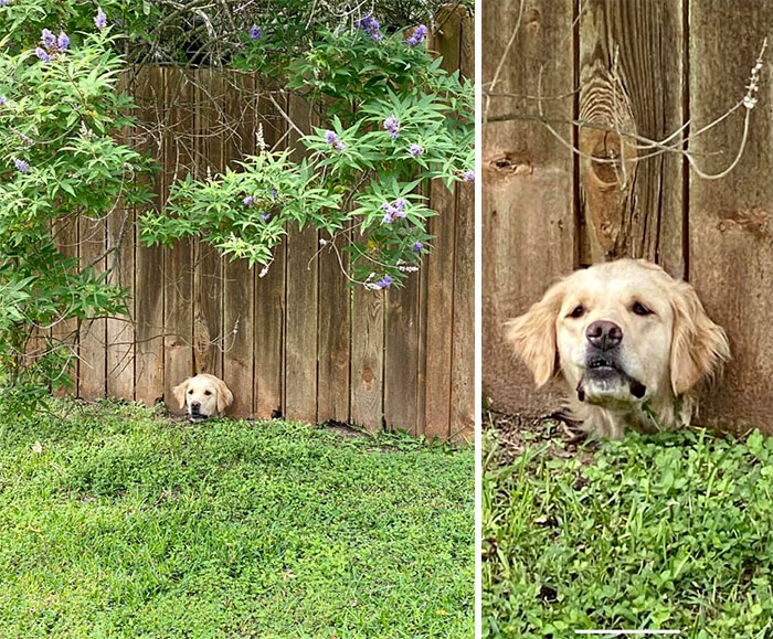 This Guy Popped Out To Greet Me On My Walk!