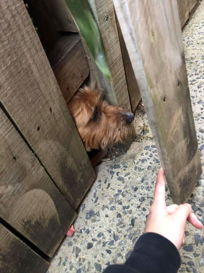 Caught The Neighbour Doin’ A Snoop