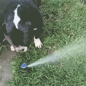 Wait For It, Wait For It, Almost, Nom Nom Nom