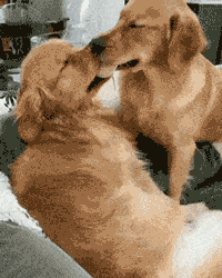 What Do You Do When Neither Side Wants To Give Up? Take A Nap, Of Course.