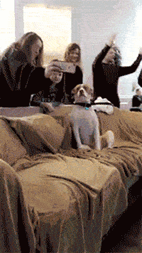 "What's Going On? I Don't Understand How To Be In A Selfie."