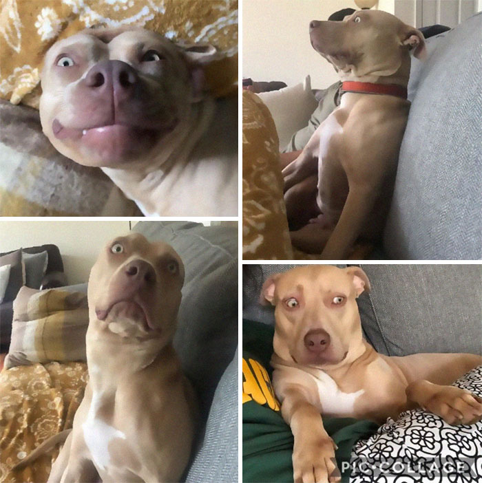 I Don’t Even Know A Word To Describe My Girl.....