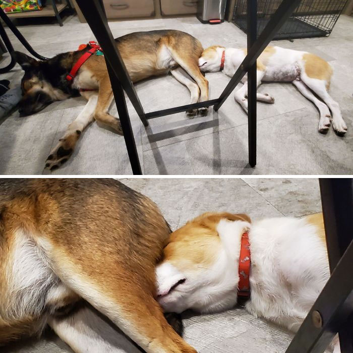 I Was Enjoying My Morning Coffee Then Almost Choked From Laughter