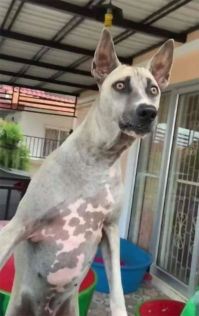 Stormy Heard A Noise And Had To Check It Out