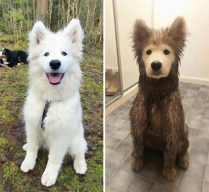 Before And After Playdate