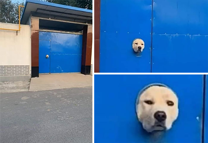 Wide Angle Security Camera