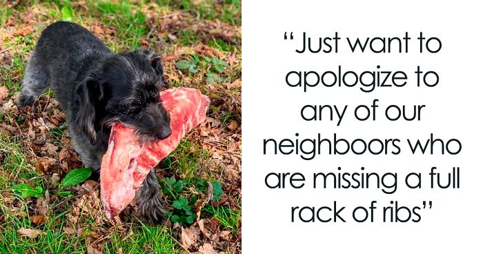 40 Hilarious Dog Posts To Put A Smile On Your Face