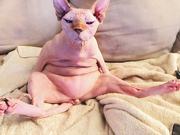 Straight Up Chillin With No Shame