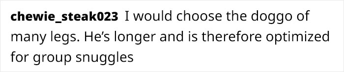 The Author Of 'Brutus And Pixie' Comics Reimagines The Animals From Viral Photos And Almost 500K People Like It