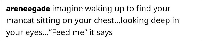 The Author Of 'Brutus And Pixie' Comics Reimagines The Animals From Viral Photos And Almost 500K People Like It