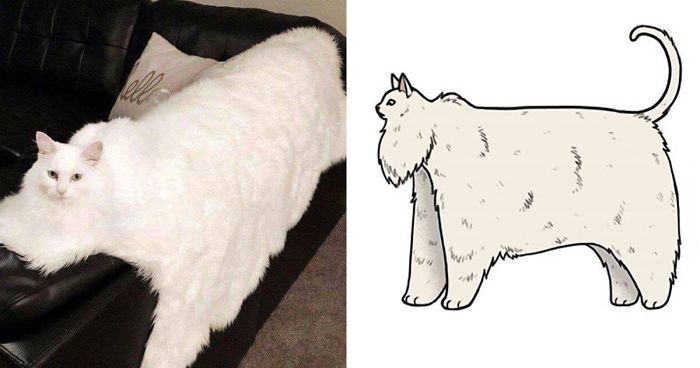 The Author Of ‘Brutus And Pixie’ Comics Reimagines The Animals From Viral Photos And Almost 500K People Like It