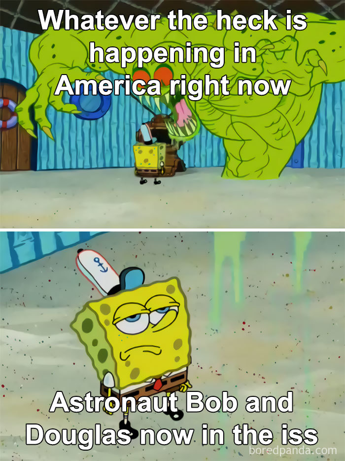 Funny-Reaction-Space-X-Launch