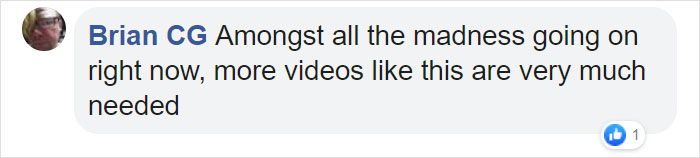 To Study Hummingbirds Up Close, This Man Attached Feeders To His Glasses To Study Hummingbirds Up Close, This Man Attached Feeders To His Glasses