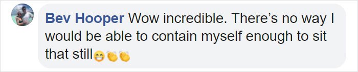 To Study Hummingbirds Up Close, This Man Attached Feeders To His Glasses