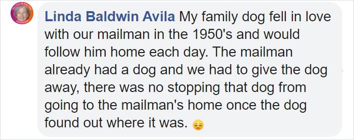 Golden Retriever Falls In Love With The Local Delivery Men, Her Owner Starts Capturing Their Daily Routine On Camera Golden Retriever Falls In Love With The Local Delivery Men, Her Owner Starts Capturing Their Daily Routine On Camera