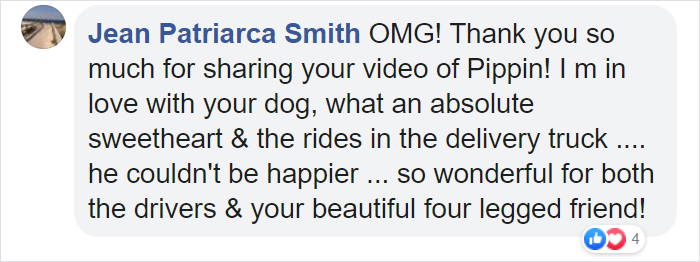 Golden Retriever Falls In Love With The Local Delivery Men, Her Owner Starts Capturing Their Daily Routine On Camera Golden Retriever Falls In Love With The Local Delivery Men, Her Owner Starts Capturing Their Daily Routine On Camera