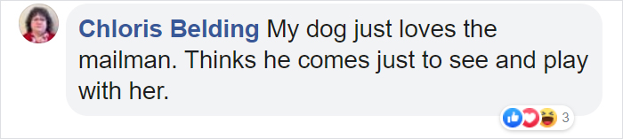 Golden Retriever Falls In Love With The Local Delivery Men, Her Owner Starts Capturing Their Daily Routine On Camera Golden Retriever Falls In Love With The Local Delivery Men, Her Owner Starts Capturing Their Daily Routine On Camera