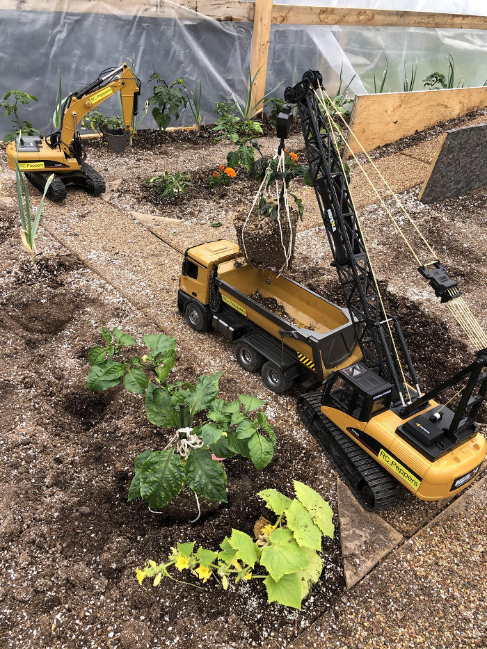Canadian Guy Is Growing Superhot Peppers Using Radio Controlled Equipment And The Whole Process Is A Rare Sight
