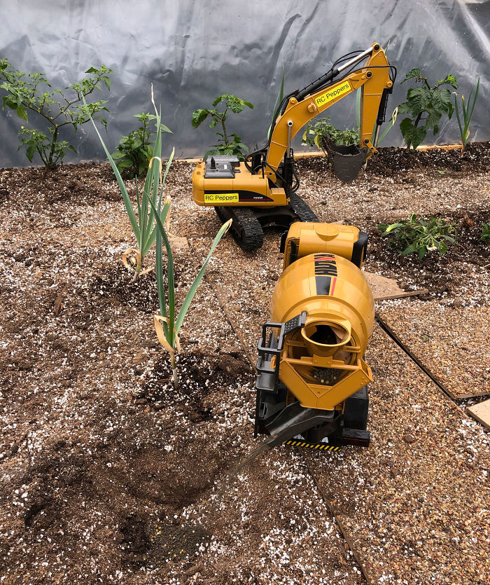 Canadian Guy Is Growing Superhot Peppers Using Radio Controlled Equipment And The Whole Process Is A Rare Sight