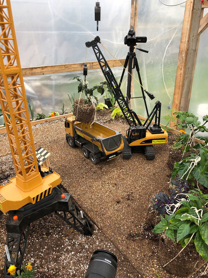 Canadian Guy Is Growing Superhot Peppers Using Radio Controlled Equipment And The Whole Process Is A Rare Sight