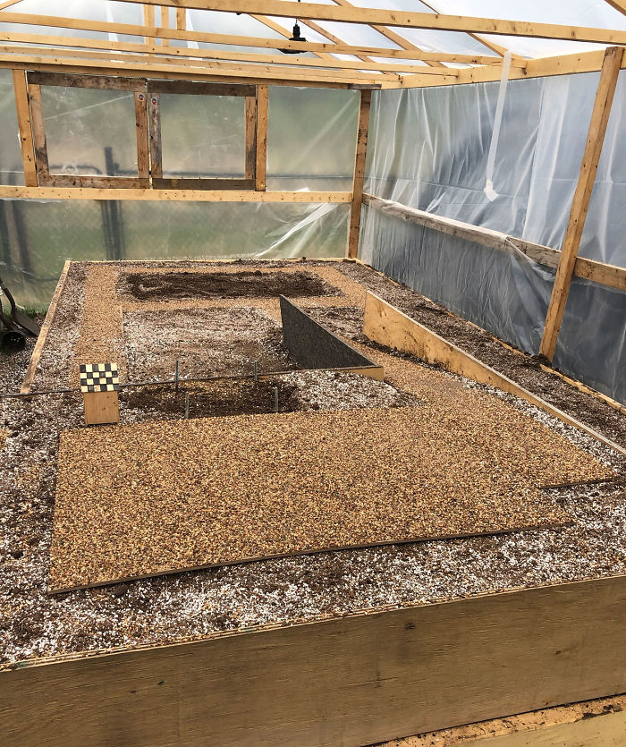 Canadian Guy Is Growing Superhot Peppers Using Radio Controlled Equipment And The Whole Process Is A Rare Sight