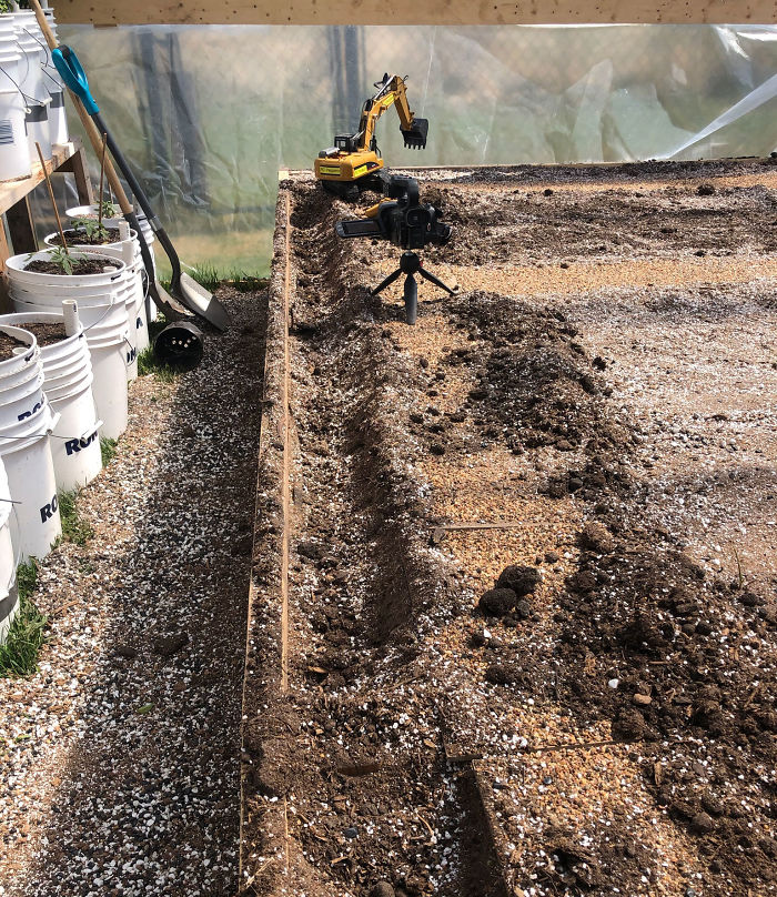 Canadian Guy Is Growing Superhot Peppers Using Radio Controlled Equipment And The Whole Process Is A Rare Sight