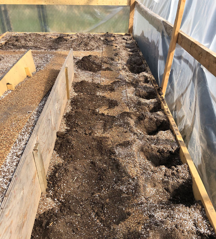 Canadian Guy Is Growing Superhot Peppers Using Radio Controlled Equipment And The Whole Process Is A Rare Sight Canadian Guy Is Growing Superhot Peppers Using Radio Controlled Equipment And The Whole Process Is A Rare Sight