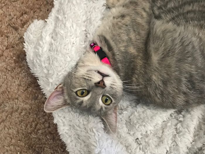 Look At Those Teefs!