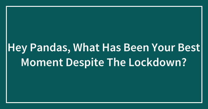 Hey Pandas, What Has Been Your Best Moment Despite The Lockdown? (Closed)