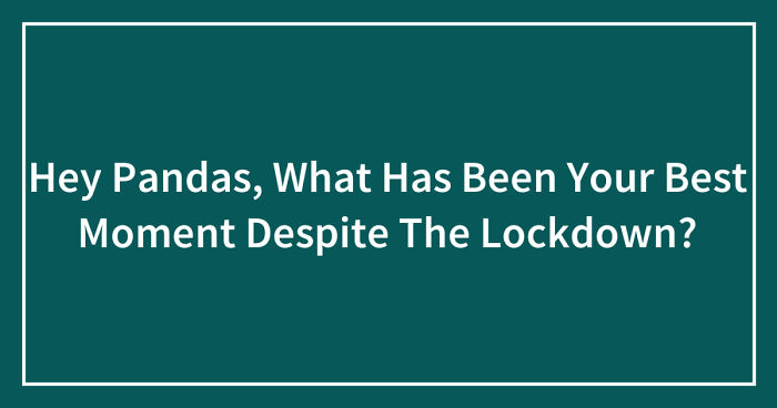 Hey Pandas, What Has Been Your Best Moment Despite The Lockdown? (Closed)