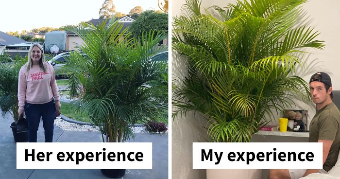 Husband Can’t Handle His Wife’s ‘Jurassic’-Sized Plants, Shares A Hilarious Rant As A Response
