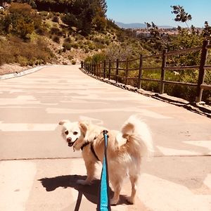 heather_grover1987 avatar