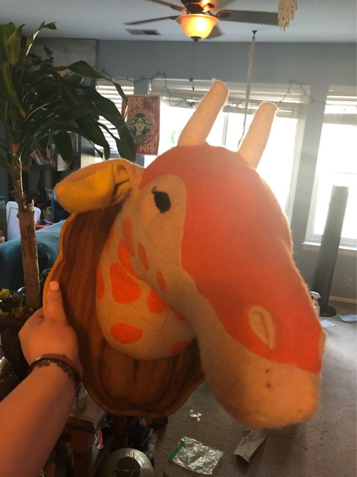 My Friend Knows I Am Against Trophy Hunting And Thought I Would Enjoy This Mounted Giraffe Head