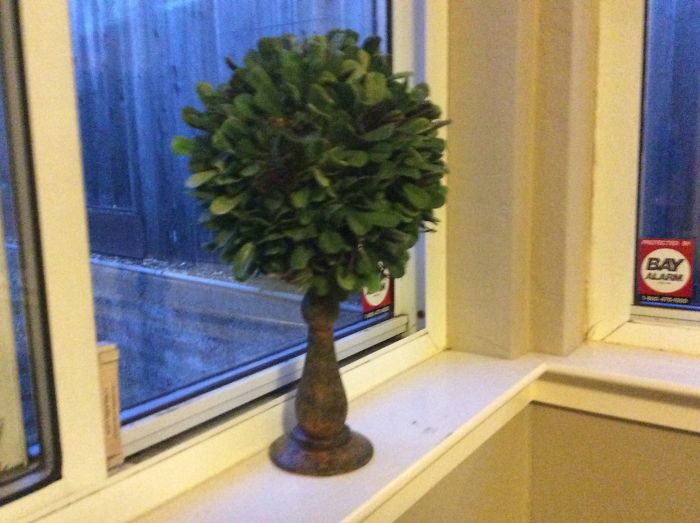 Fake Plants On A Wooden Stand I Guess?? I Got It In Some Box Labeled Free Stuff