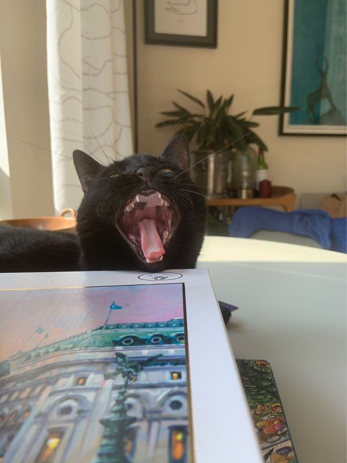 She’s Very Happy To See You