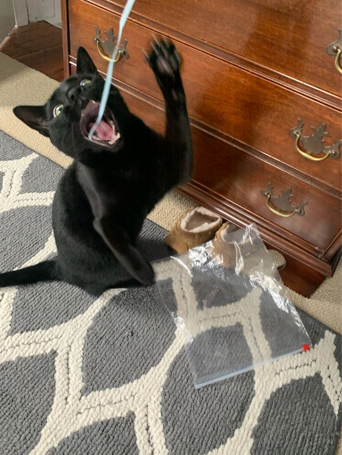 Cleos Very Stunning As You Can Tell: