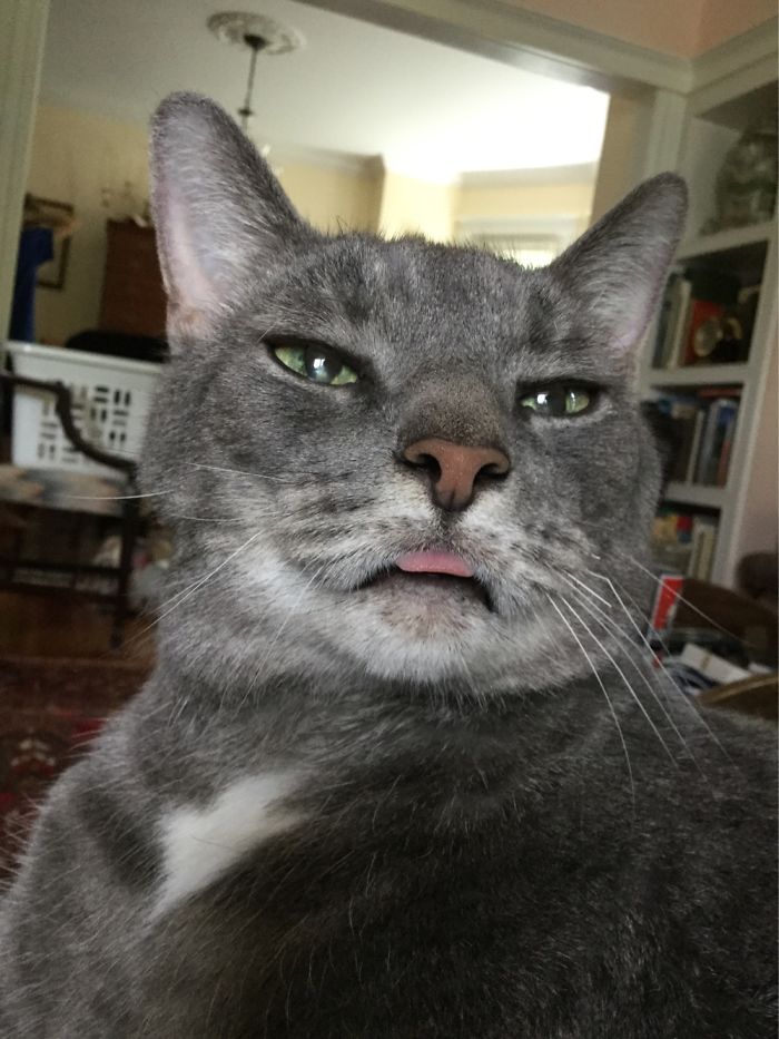 Suns Out, Tongues Out