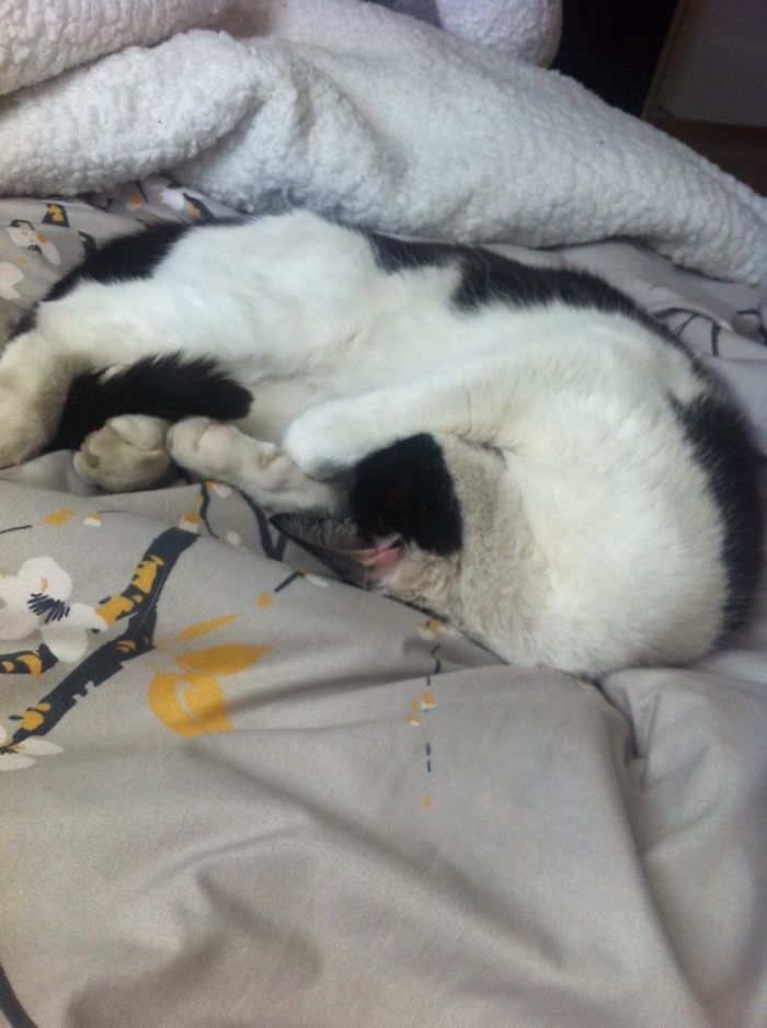 Aaaah! The Light Is Blinding Me!!!