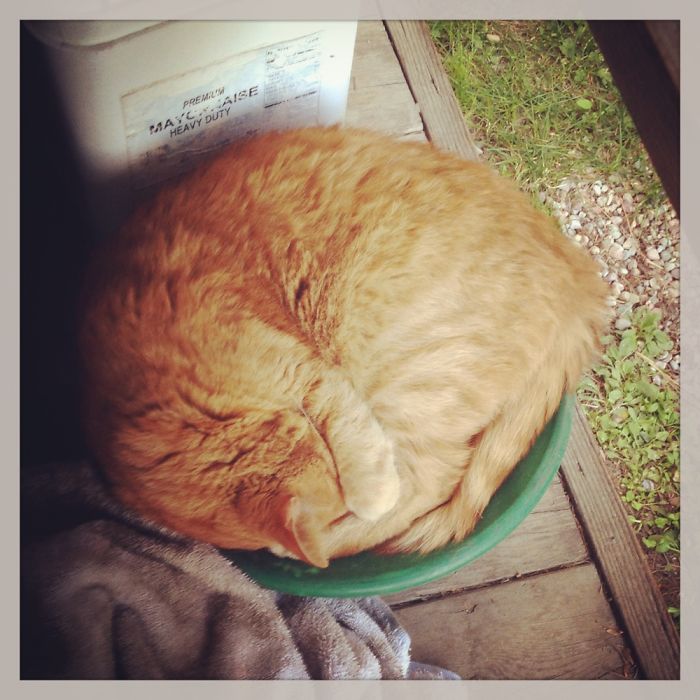 The Ultimate Gold Nugget