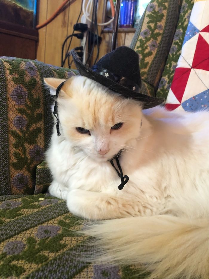 This Is Why She Hates Me