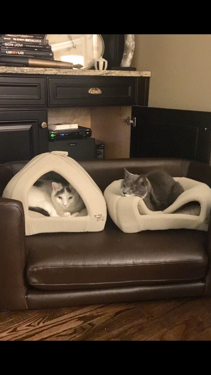 One Of You Is Doing It Wrong....