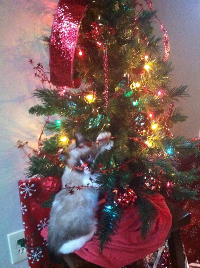 What? I’m Not Doing Anything!